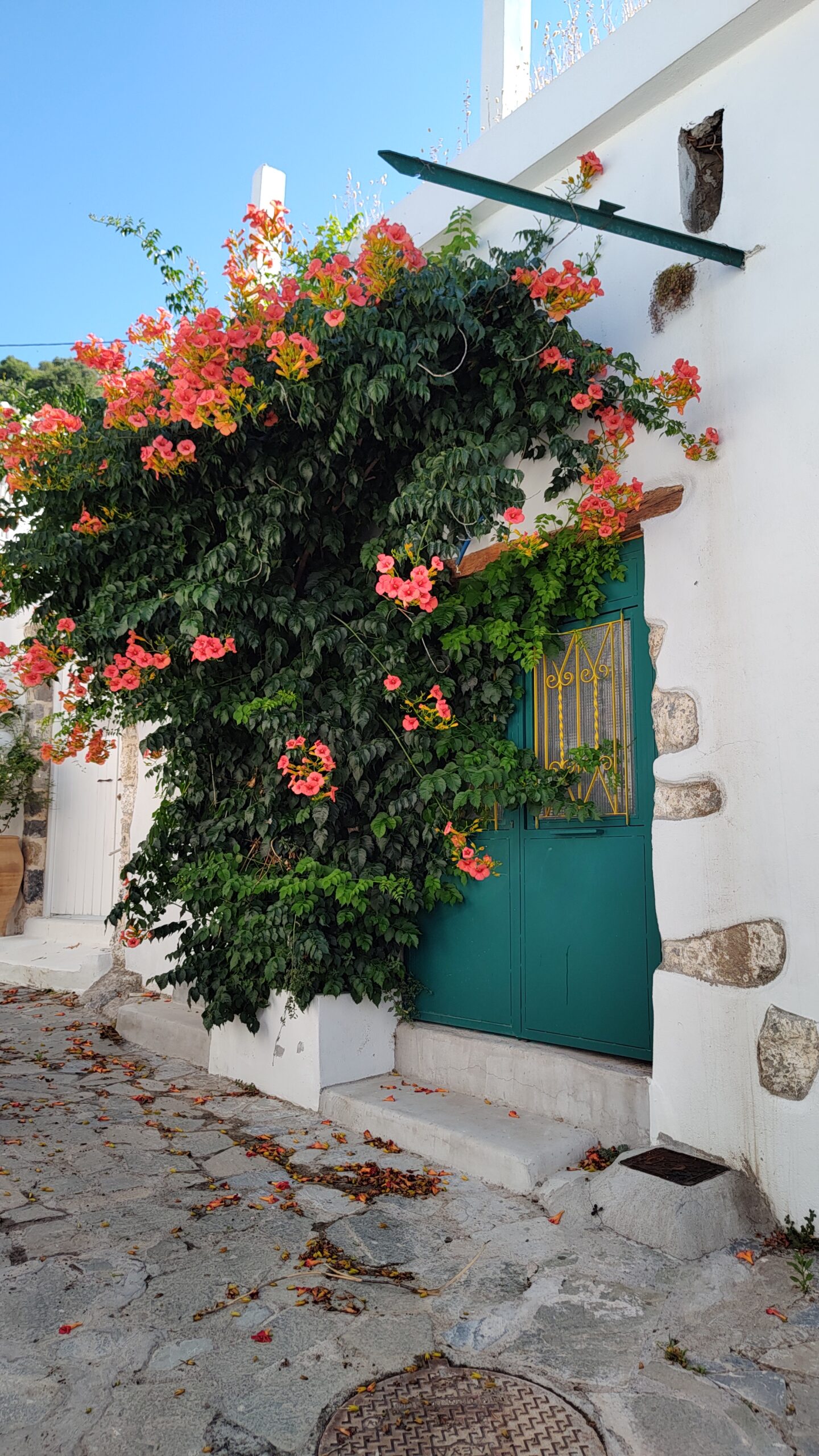 Fotos zum Thema "anklopfen" aus dem Sommerurluab auf Kreta 2023.